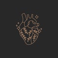 Real anatomical heart with flowers, gold simple contour line